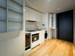 Skysuites@Anson (D2), Apartment #557836641